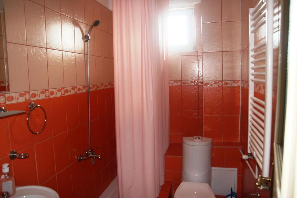 Pensiunea Sydney ティミショアラ 部屋 写真